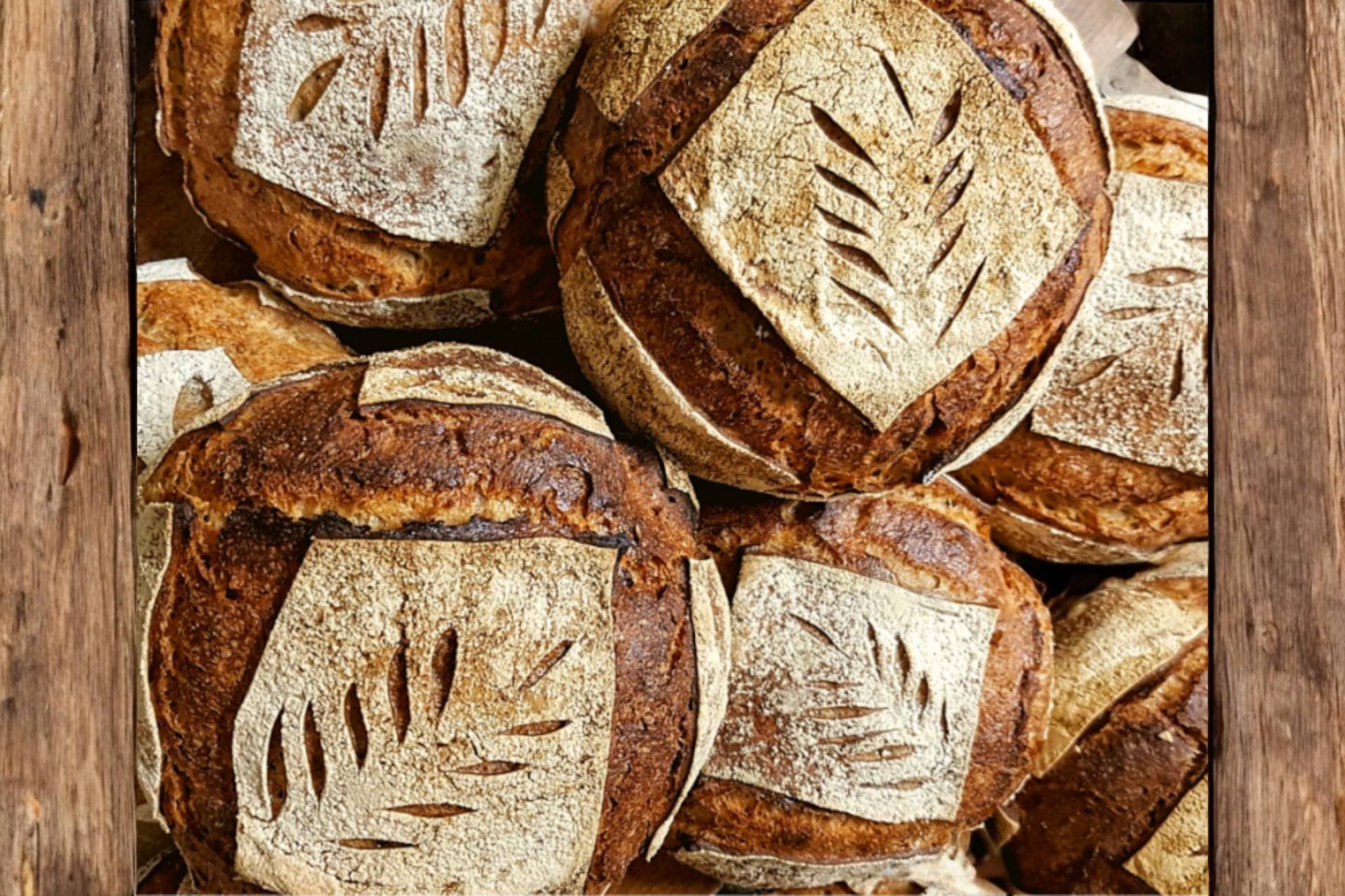 Bolle Tradition céréales🥖🥖
