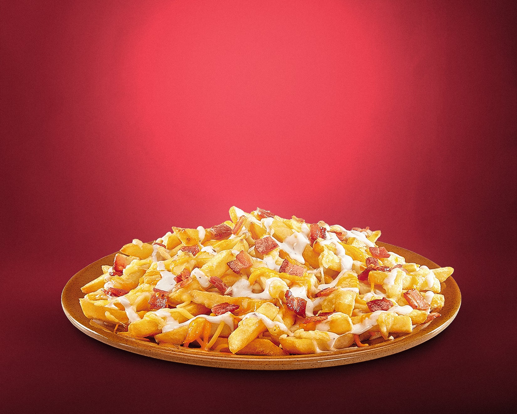 Frites Cheddar 🍟 🧀