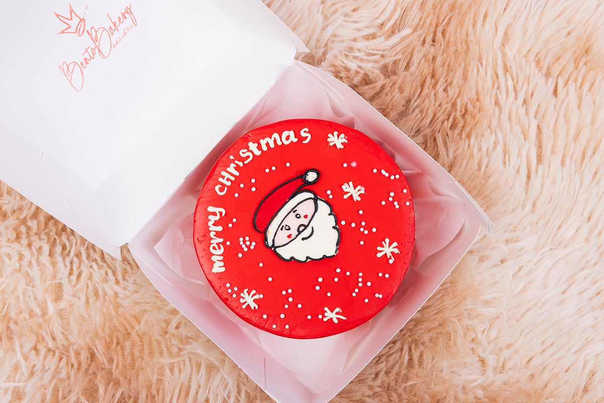 Red Santa Cake