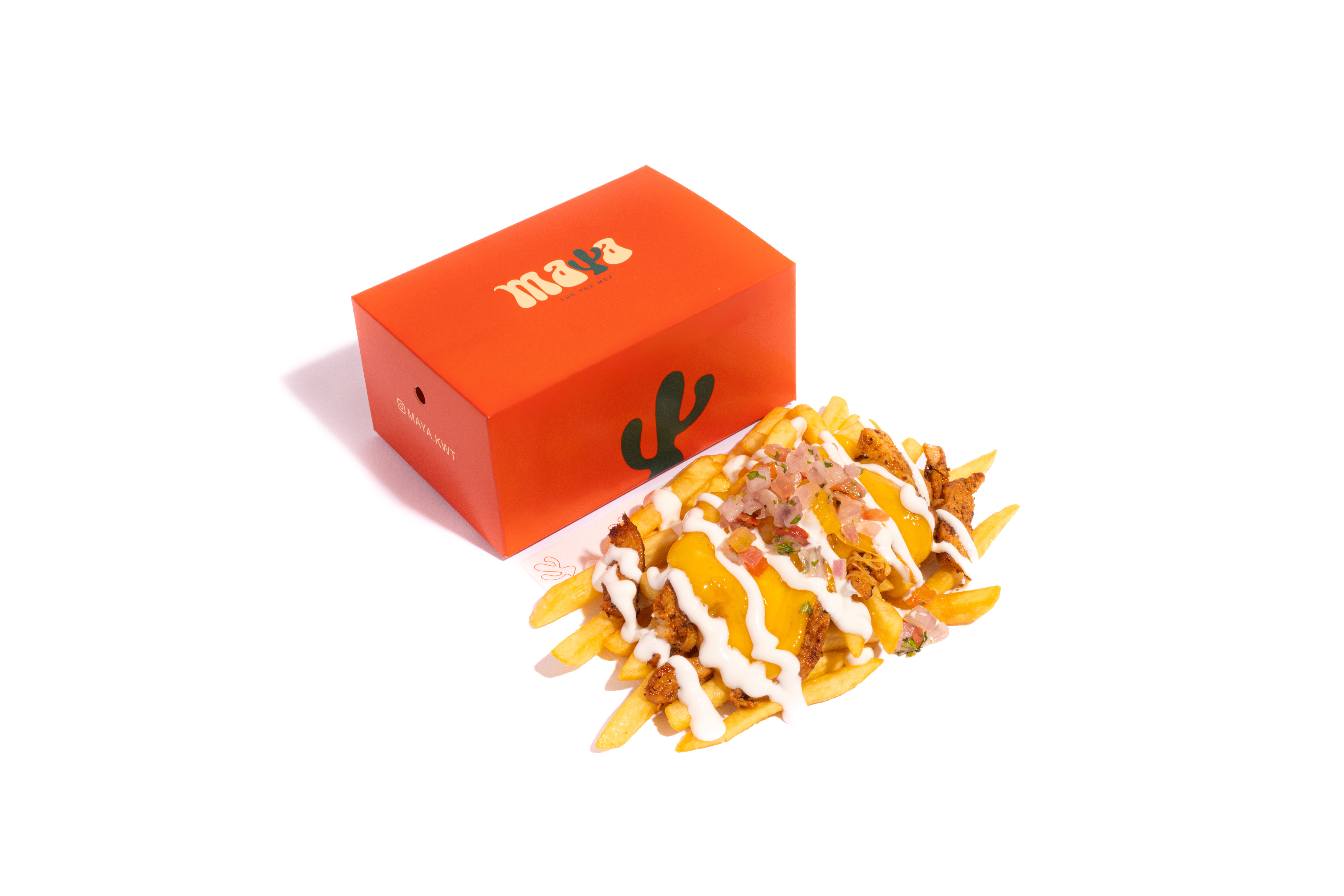 Pollo Asada Fries