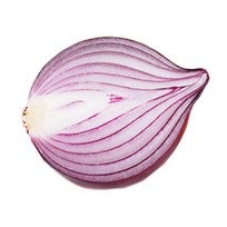 Oignons