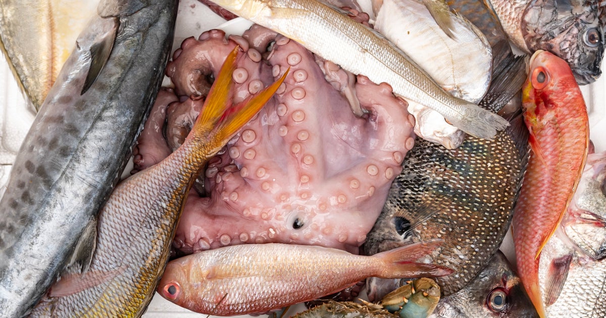 Fresh Fish Mini Market Aldershot Gu11