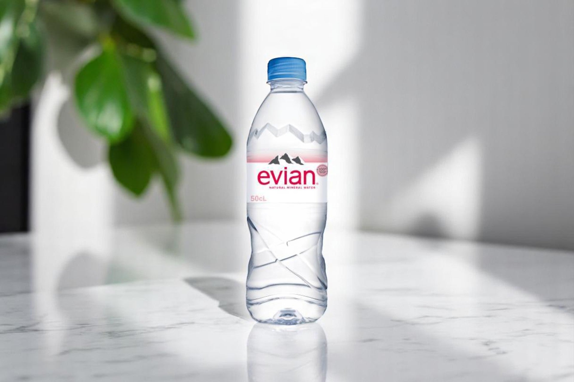 Evian 50cl