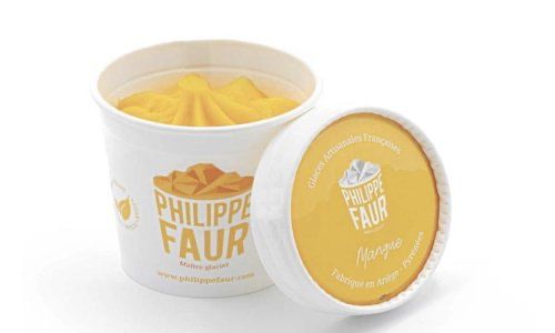 Glace Mangue Philippe Faur