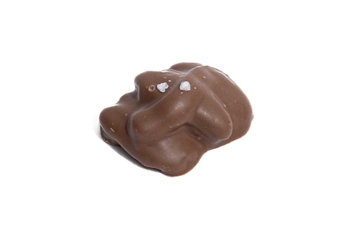 Pecan Turtle