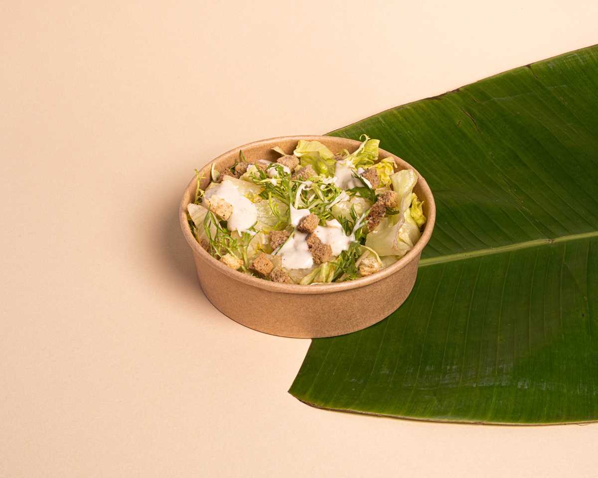 Ceaser Salad