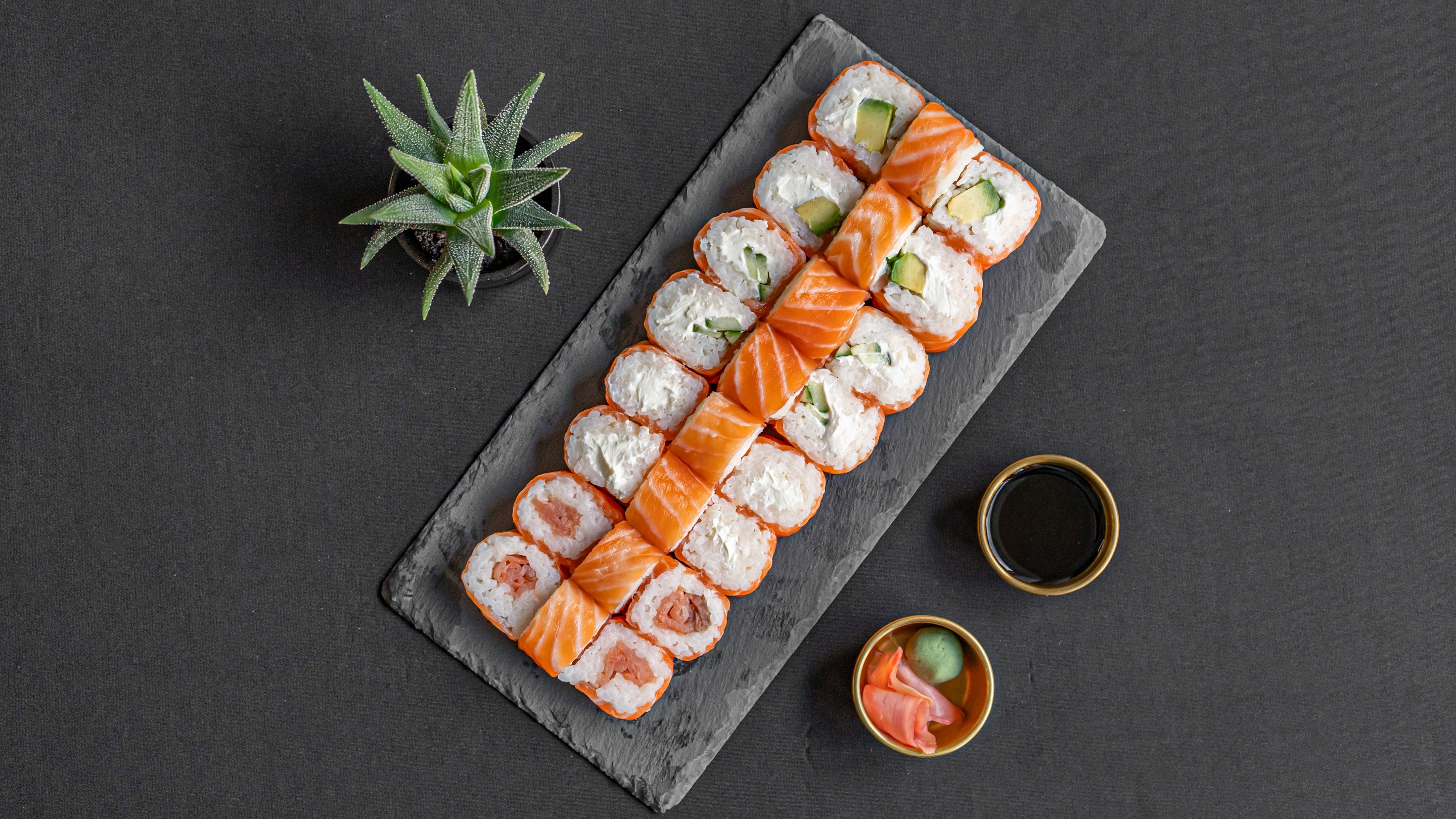 SALMON DREAM