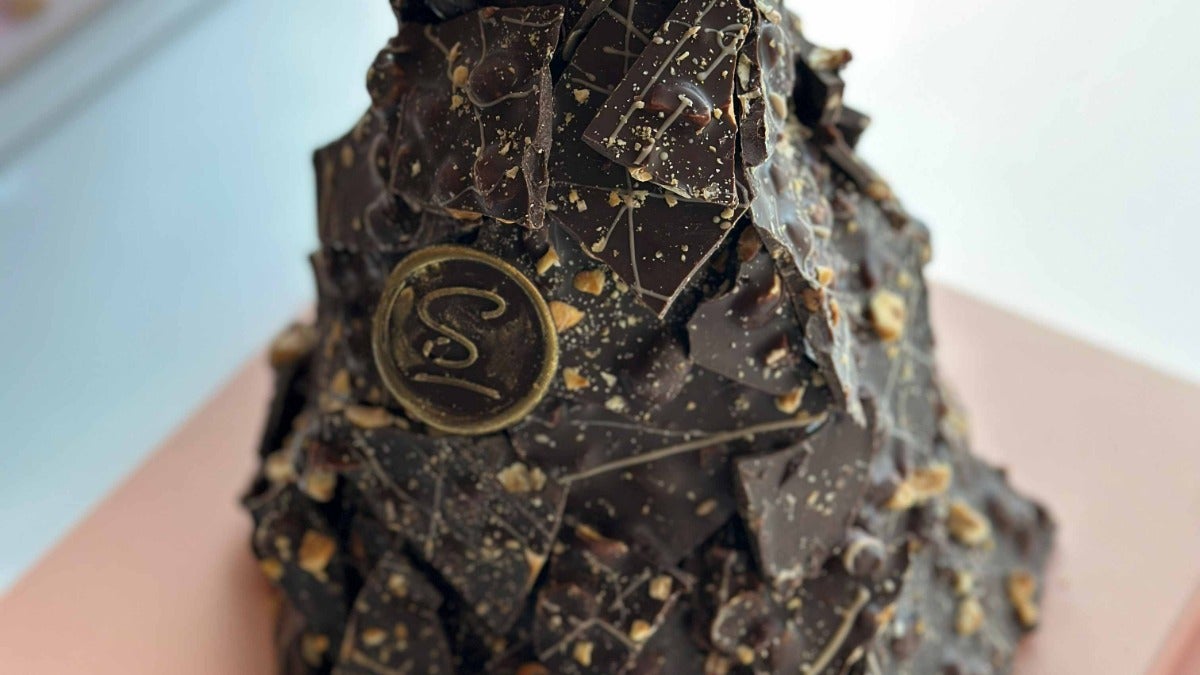 Dark Brittle Bark Tower