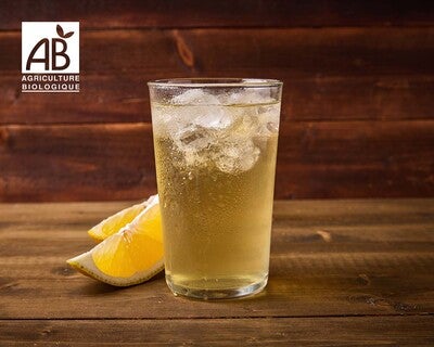 Thé Glacé Maison Bio - Citron - XL
