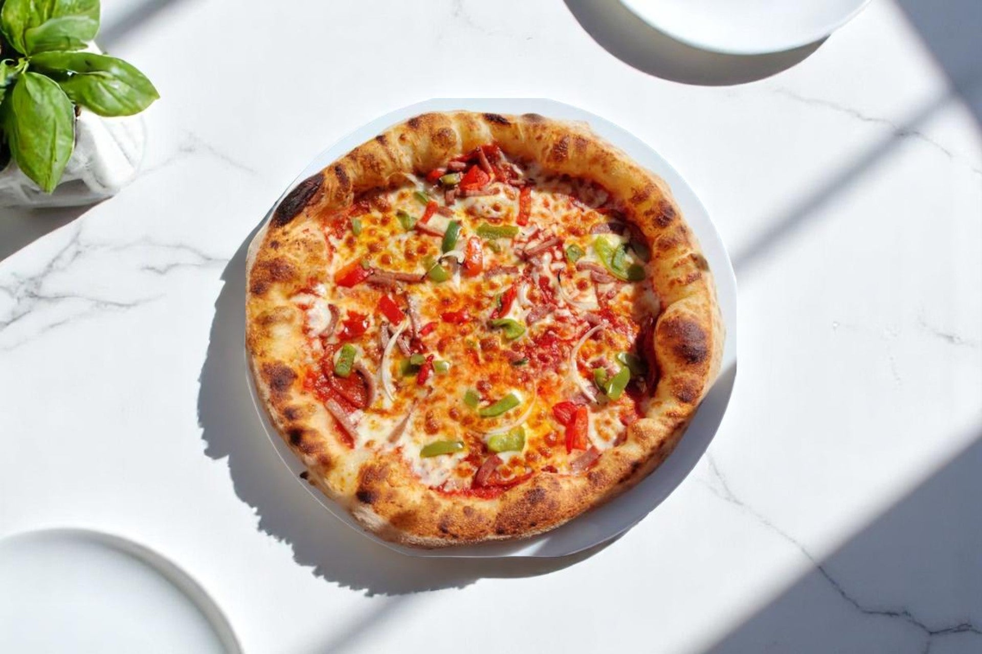 🍕Catalane