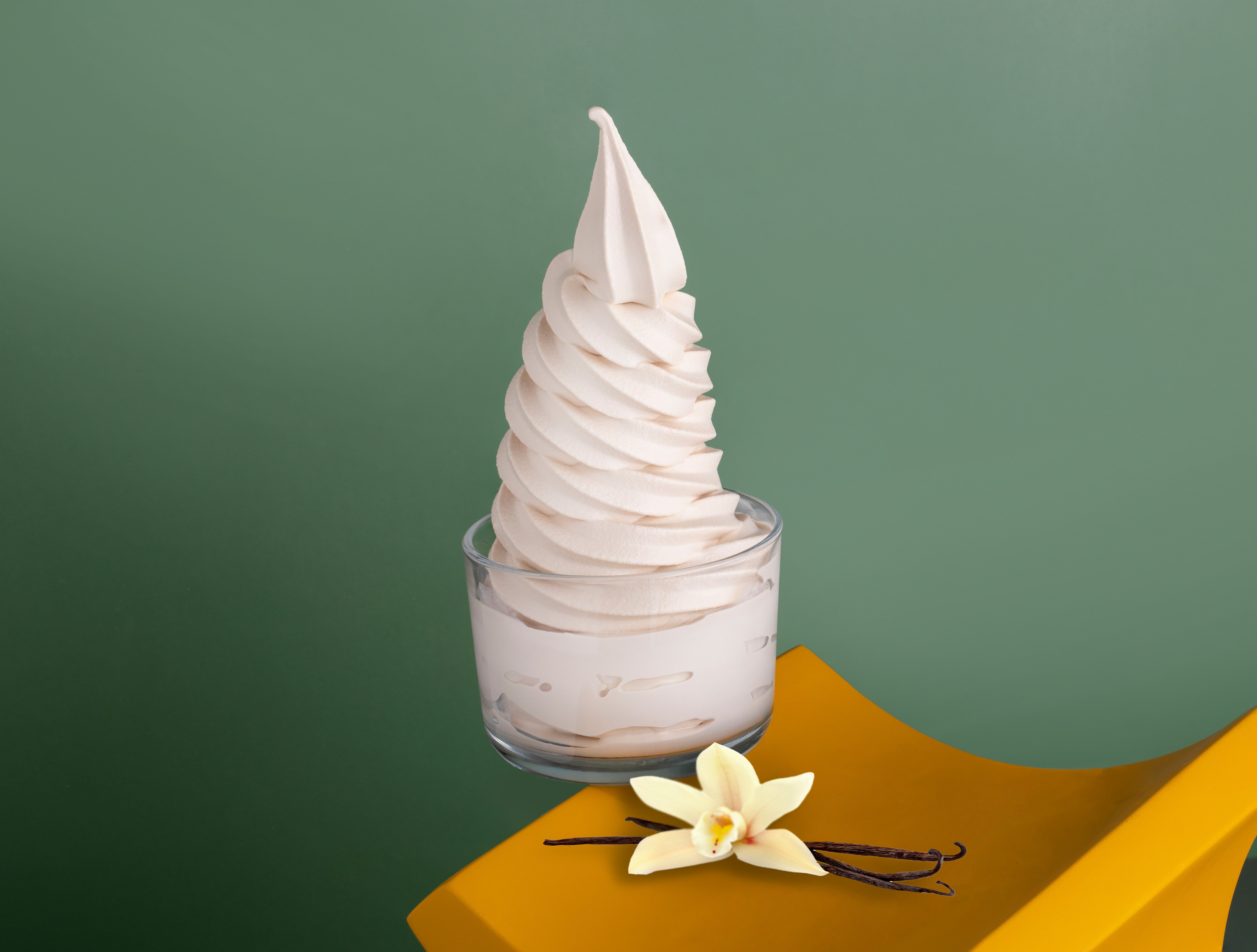 Skinny Vanilla Ice Cream