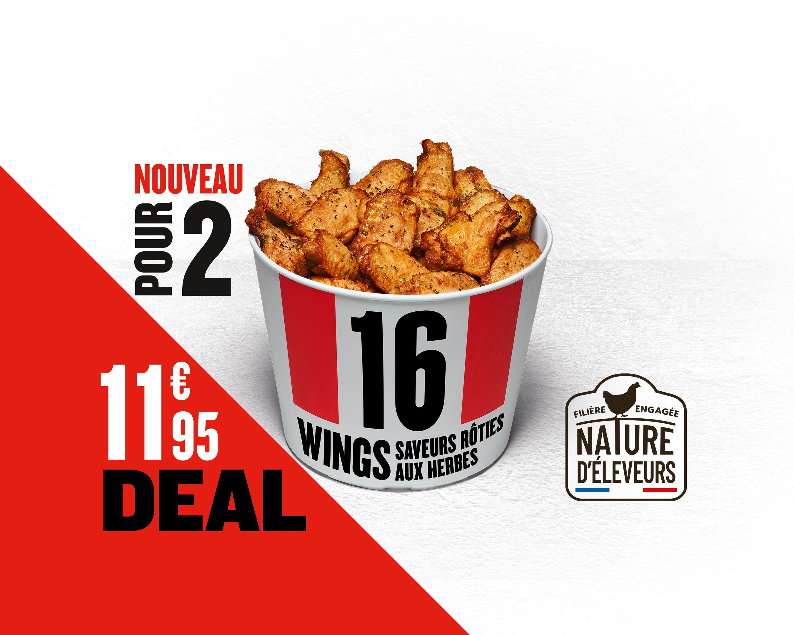 DEAL 16 WINGS ROTIS