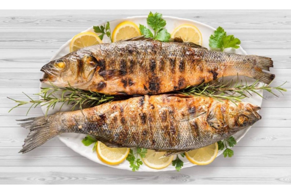 Sea bass meal