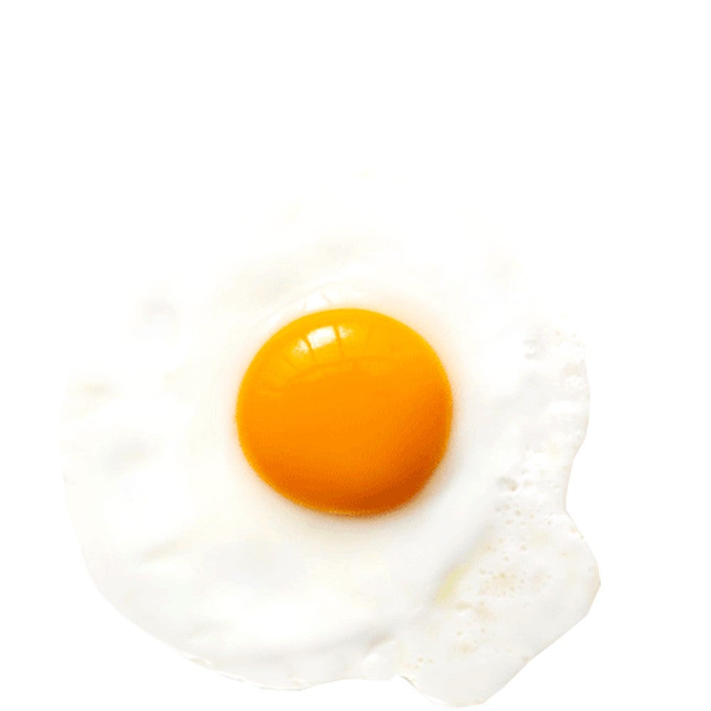 🍳 Oeuf