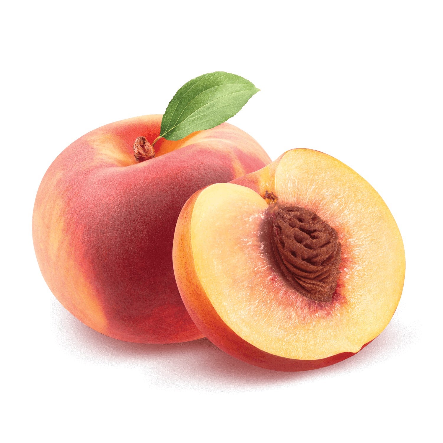 Pêche