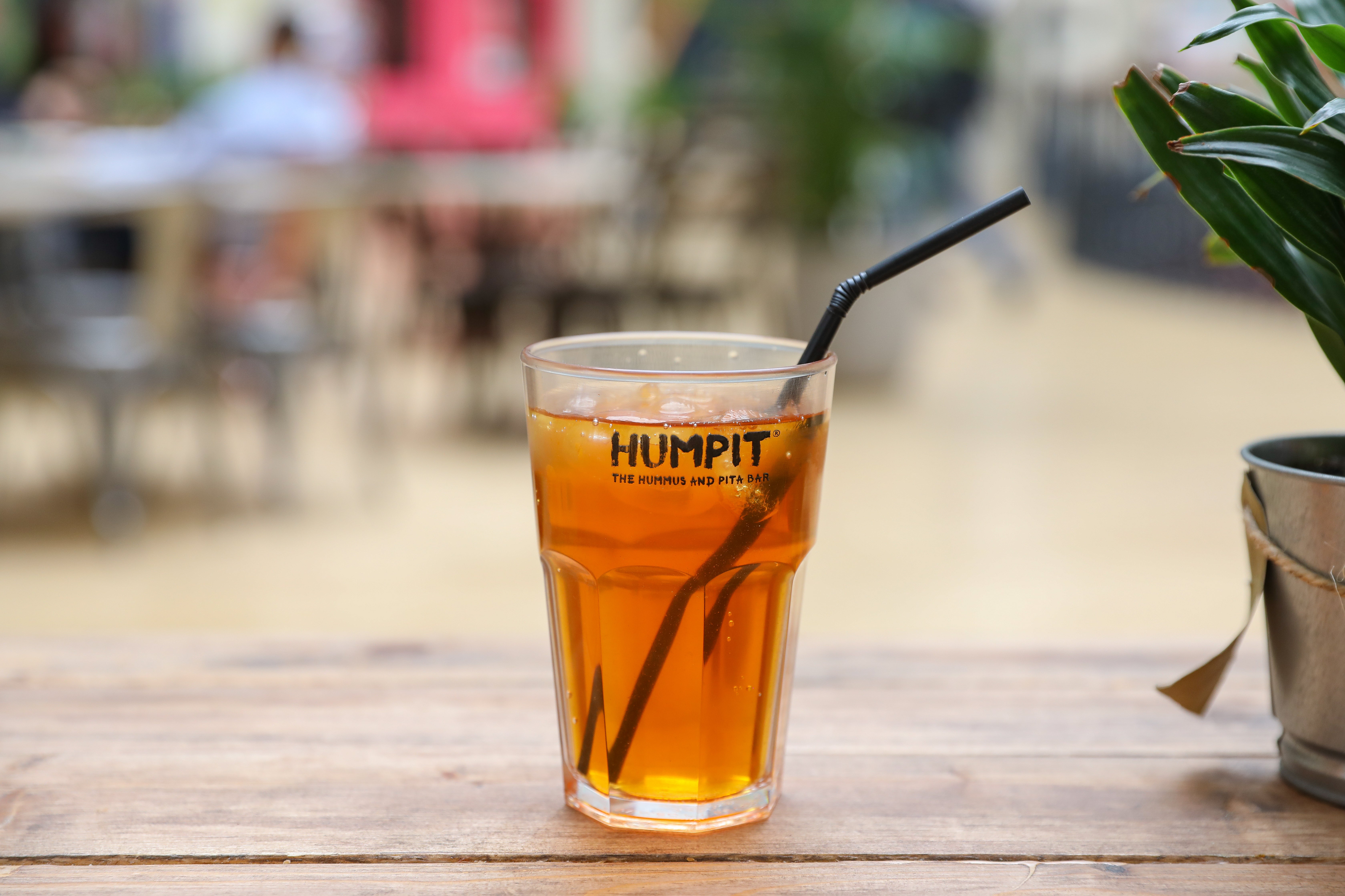 Iced HumpTea