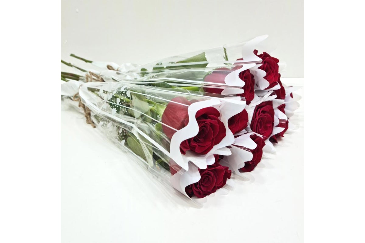 10 Single Roses