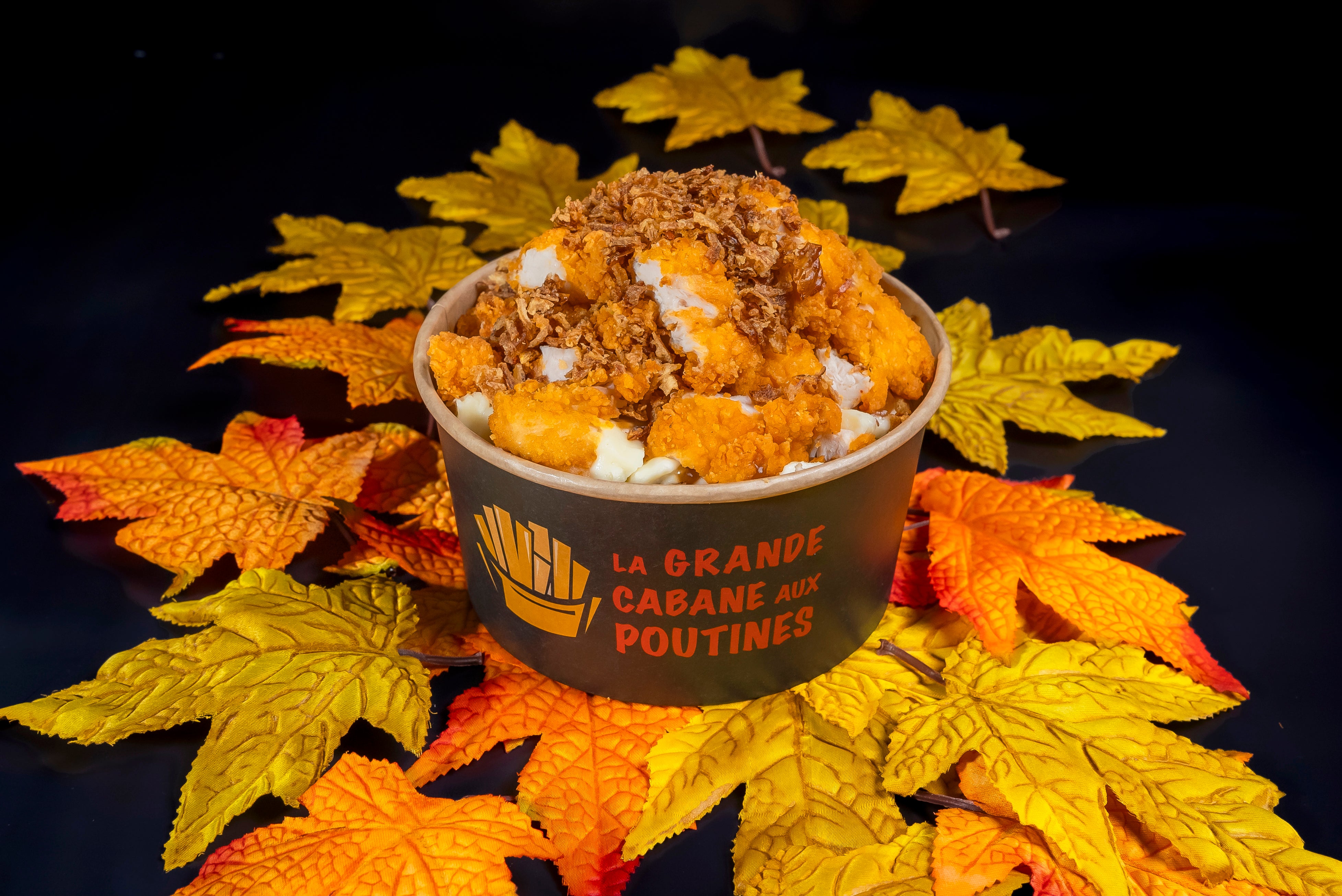 🍗 Poutine Poulet