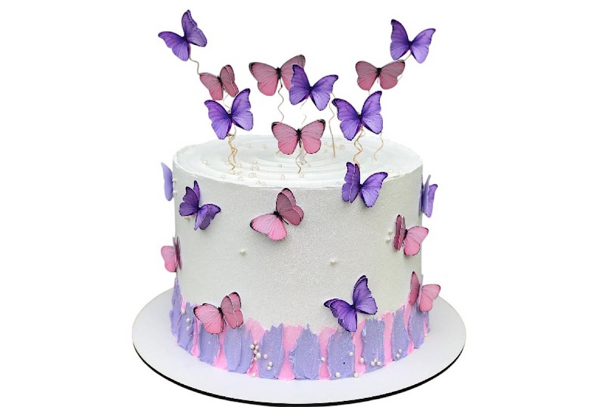 Shadow butterfly cake