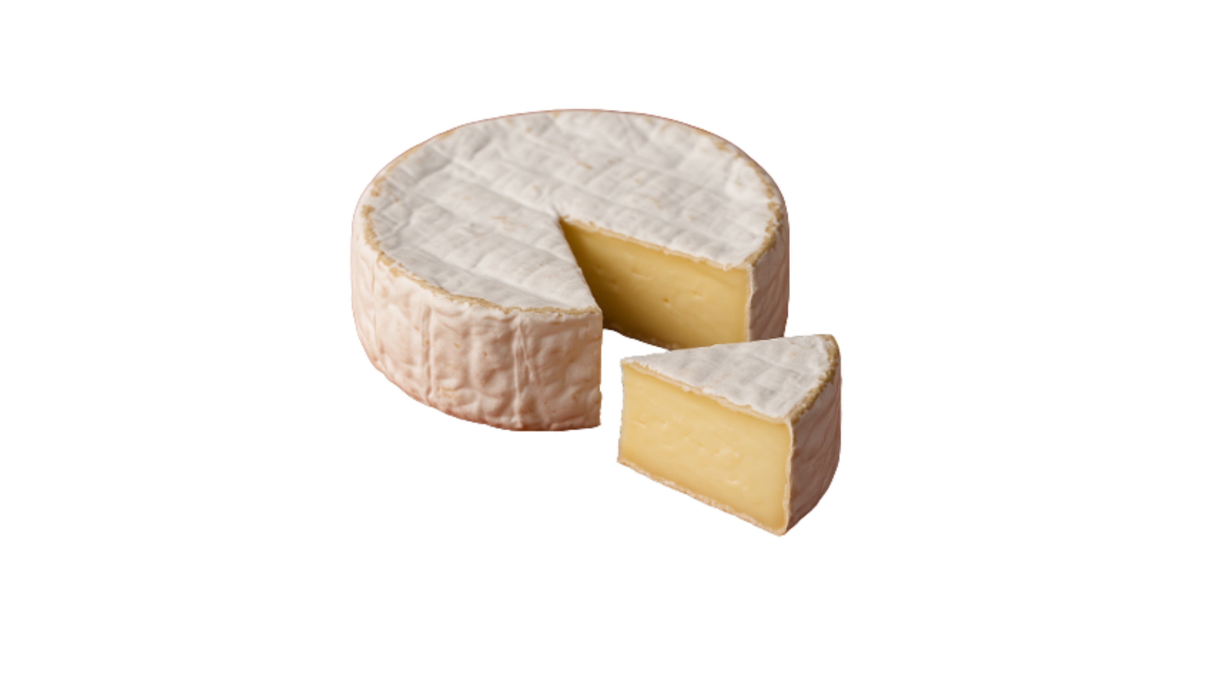 🆕 Camembert