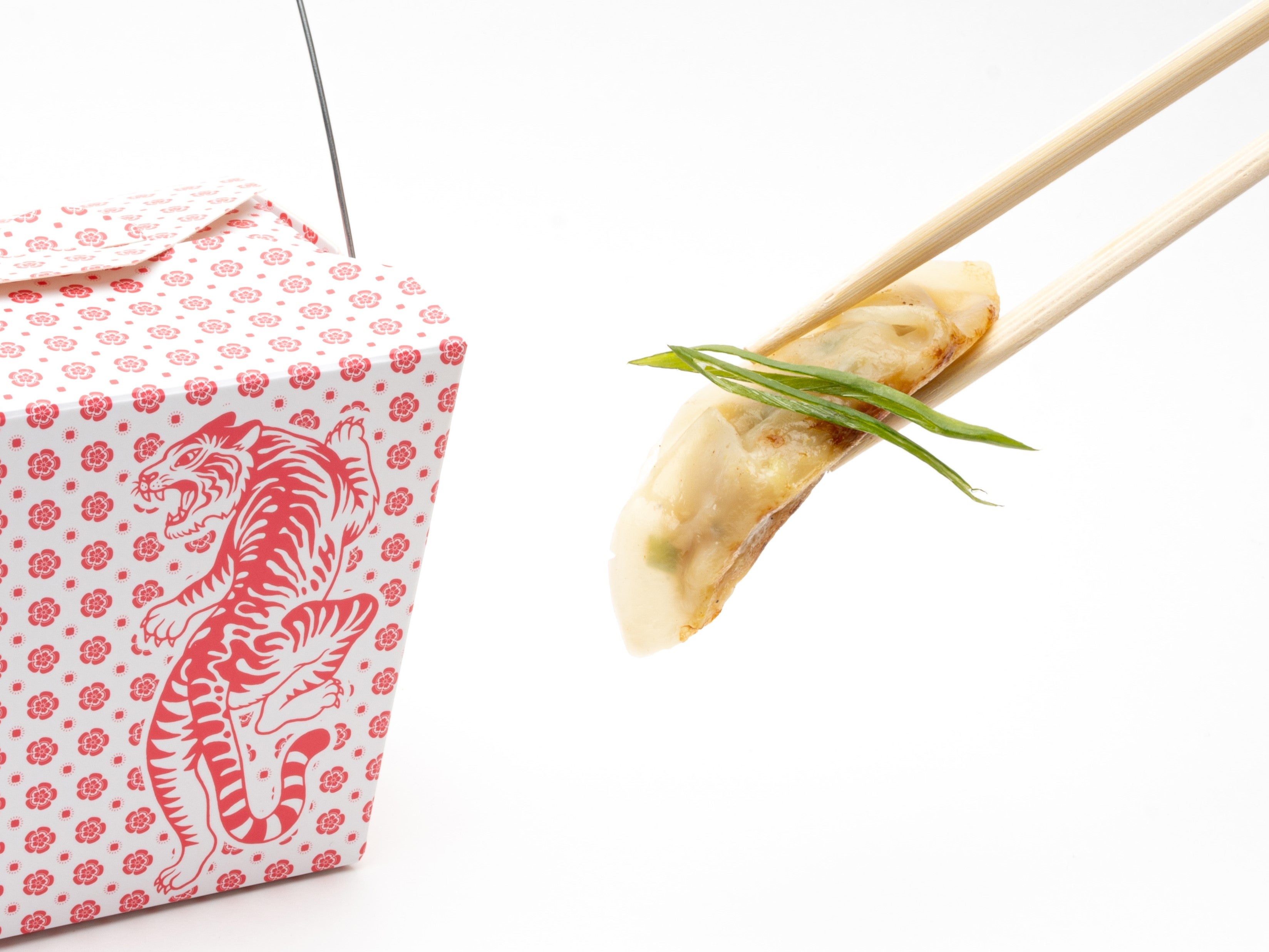 Chicken Gyoza