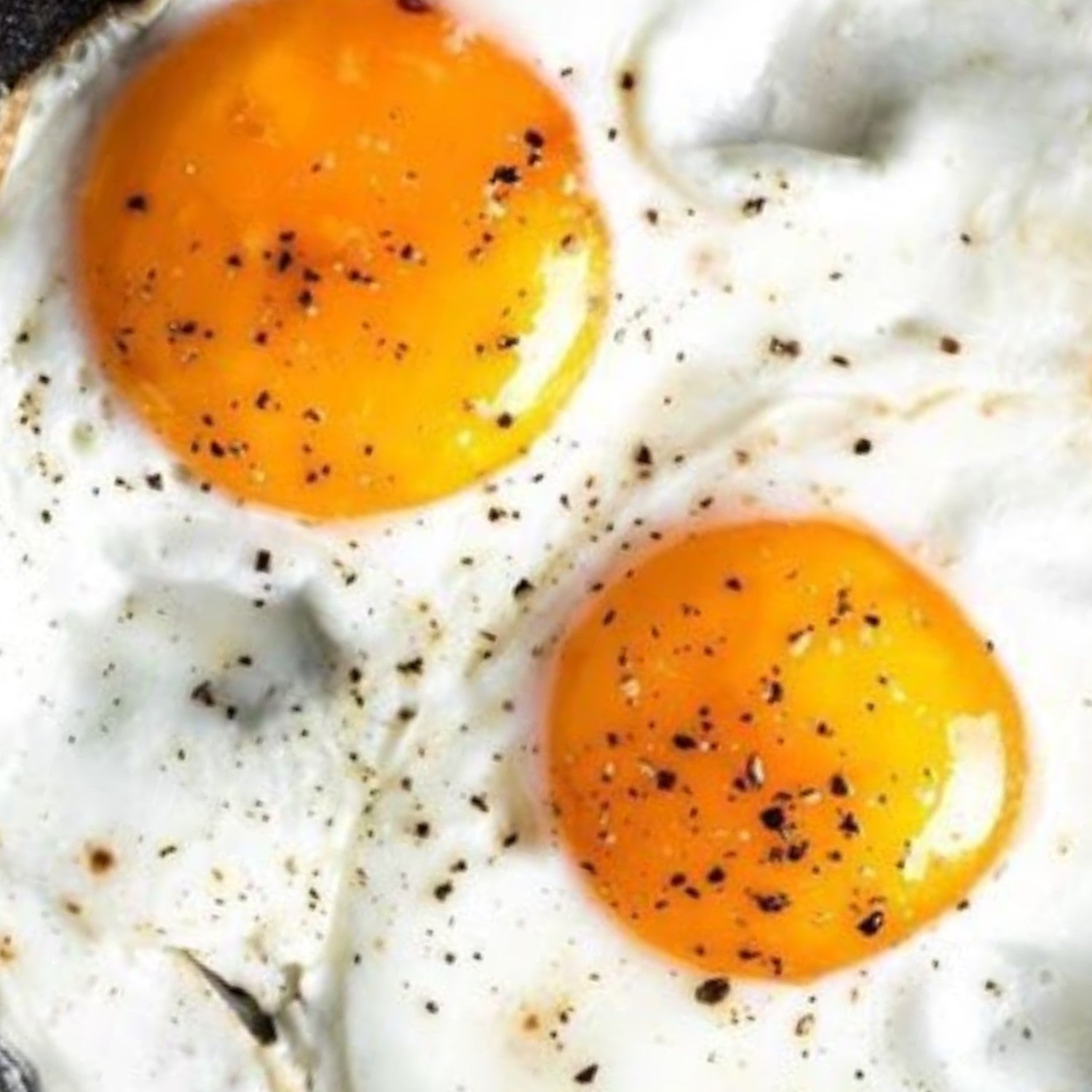 Oeuf au plat