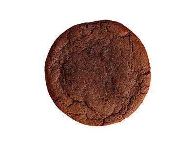 Double Chocolate Chip Cookies