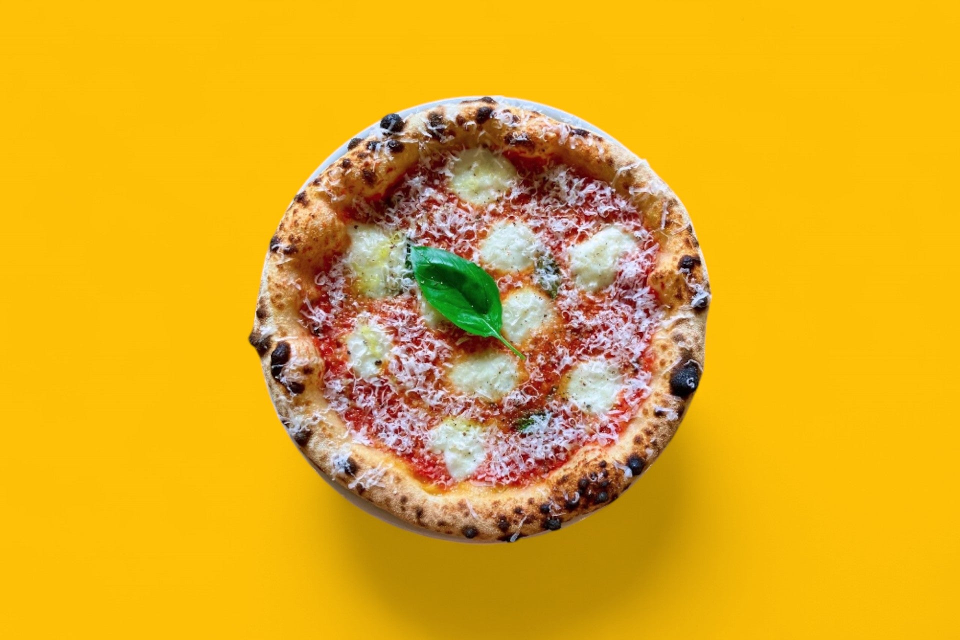 1 MARGHERITA 🍅 Achetée = 1 OFFERTE !