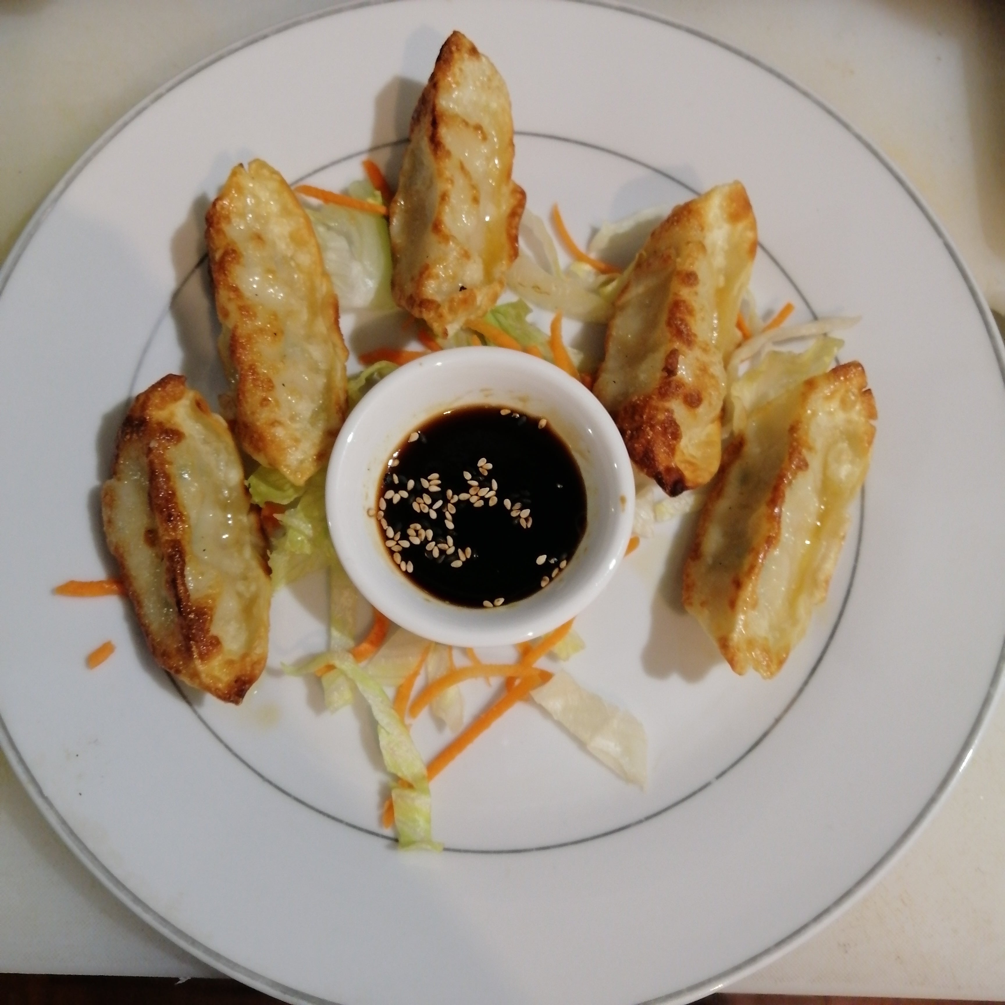 E3 Gyoza poulet et légumes (5pièces)
