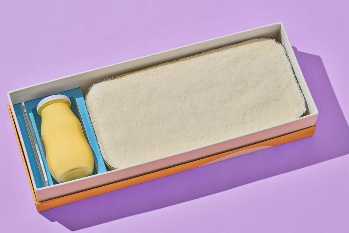 Coconut Mango Milk Cake