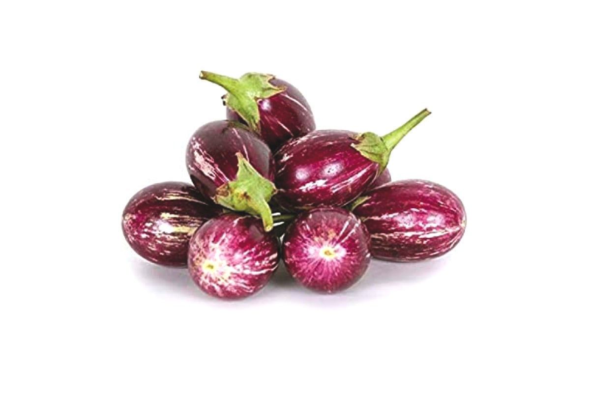 Brinjal Star Eggplant - Indian Variety