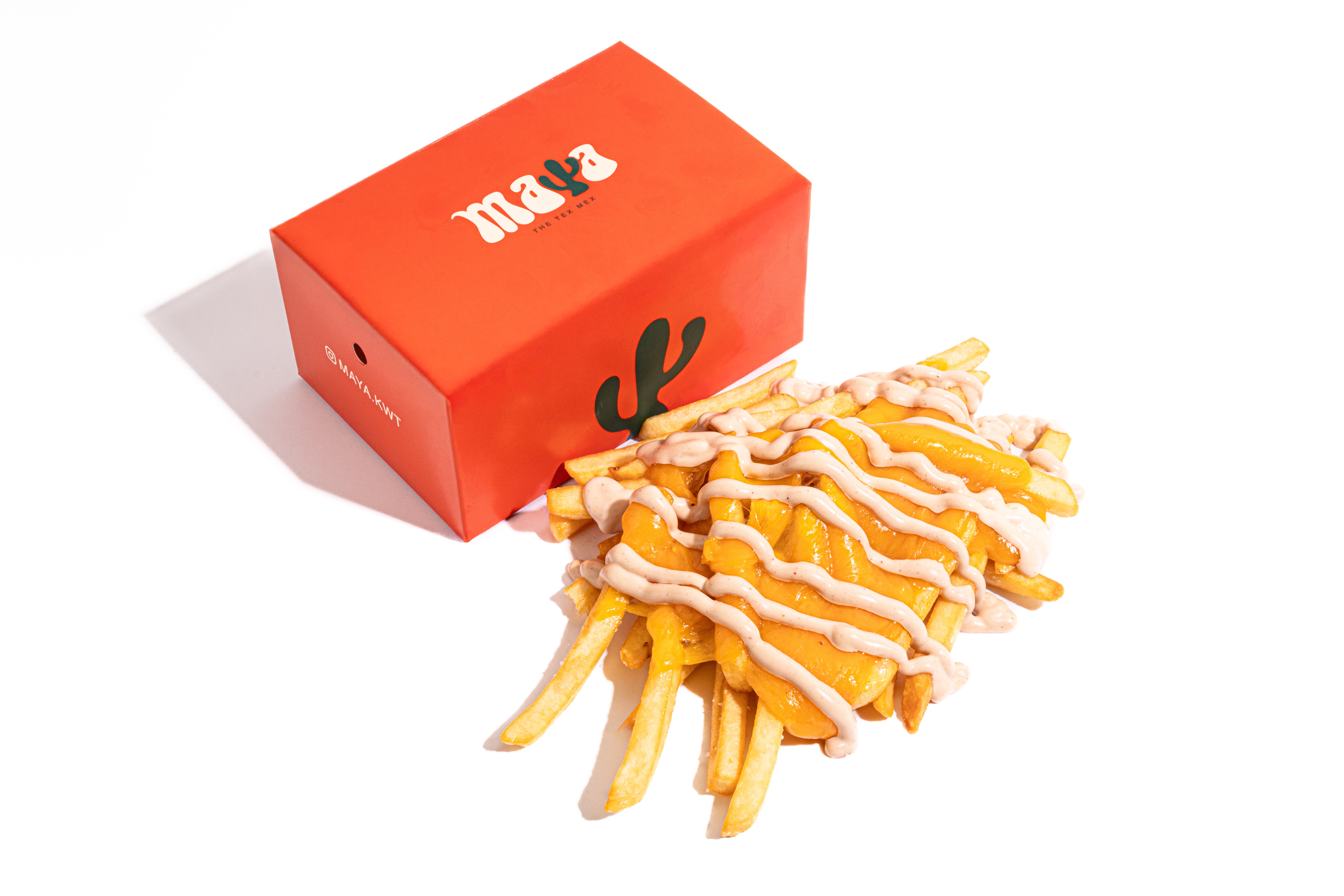 Special Fries