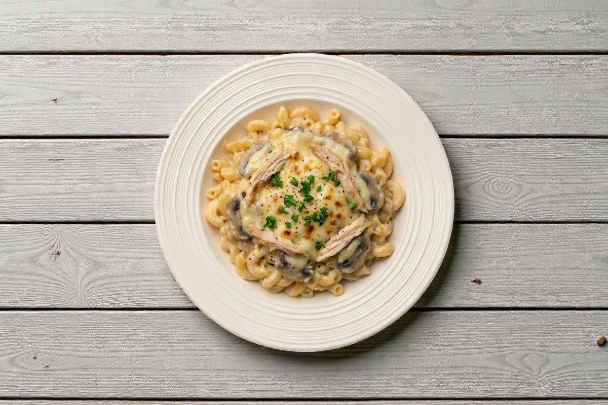 Pasta Chicken Alfredo 🍗🍝