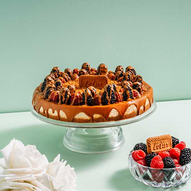 Lotus Cheesecake