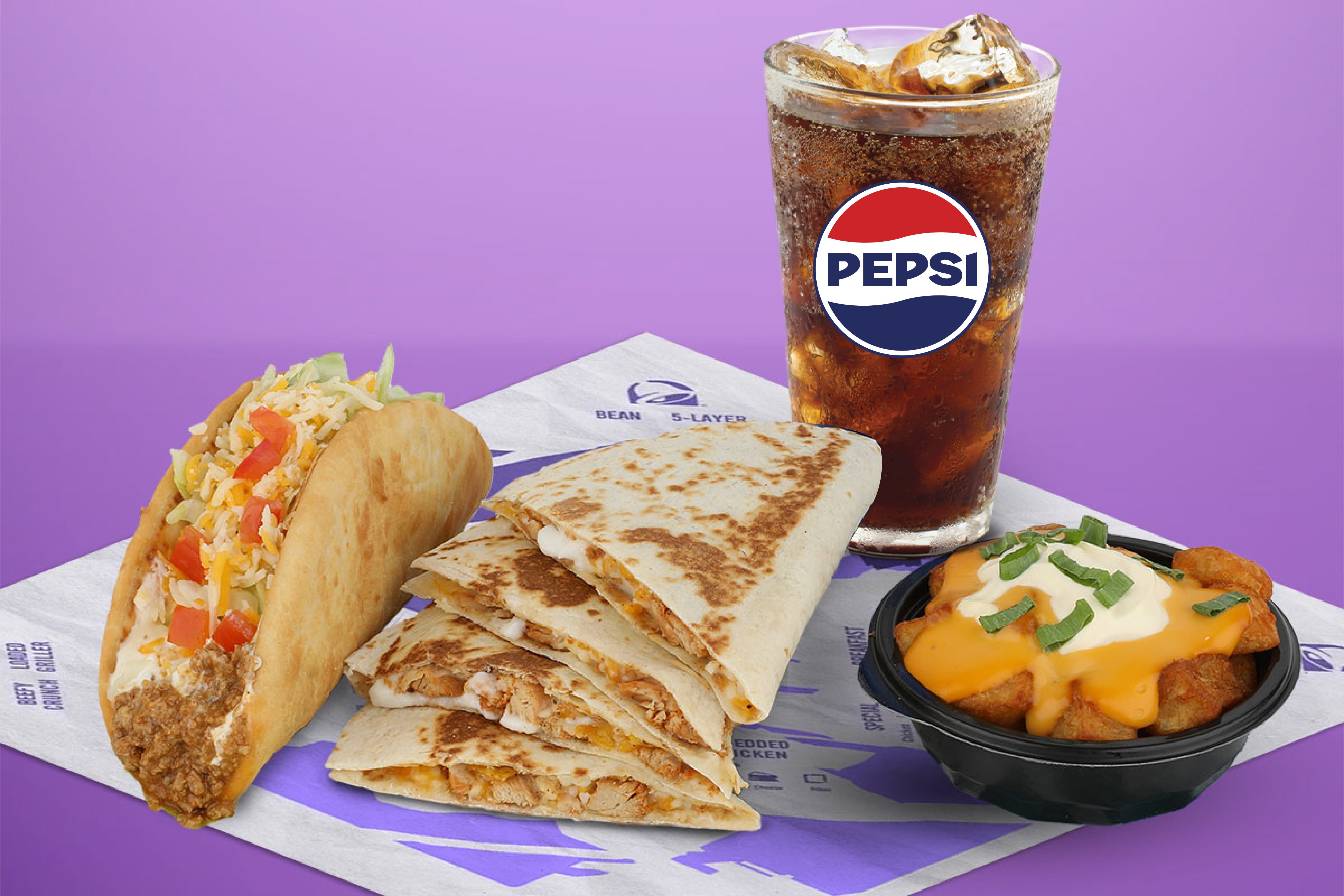 Cheesy Garlic Chicken Quesadilla Meal