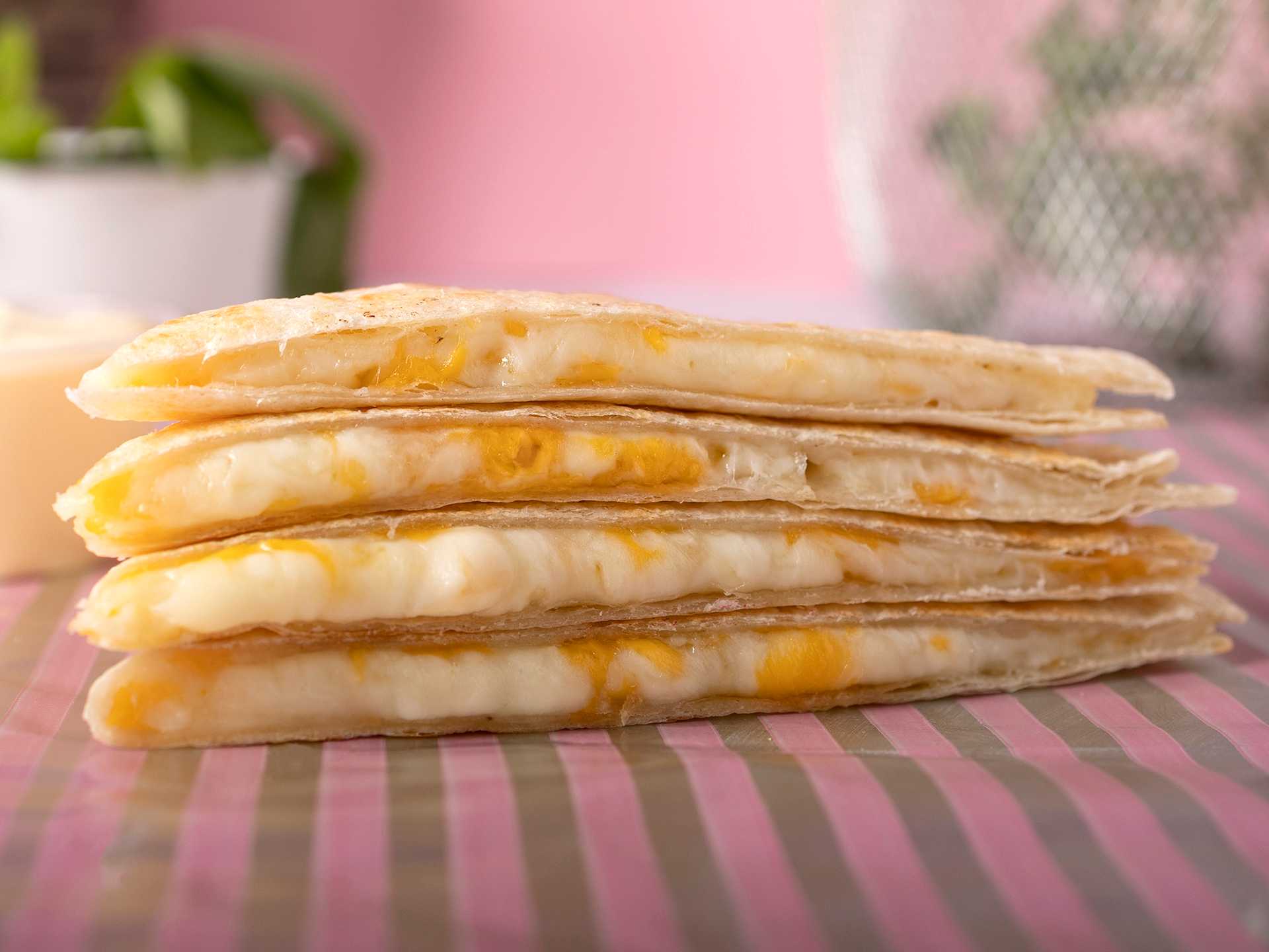 Cheese Quesadilla