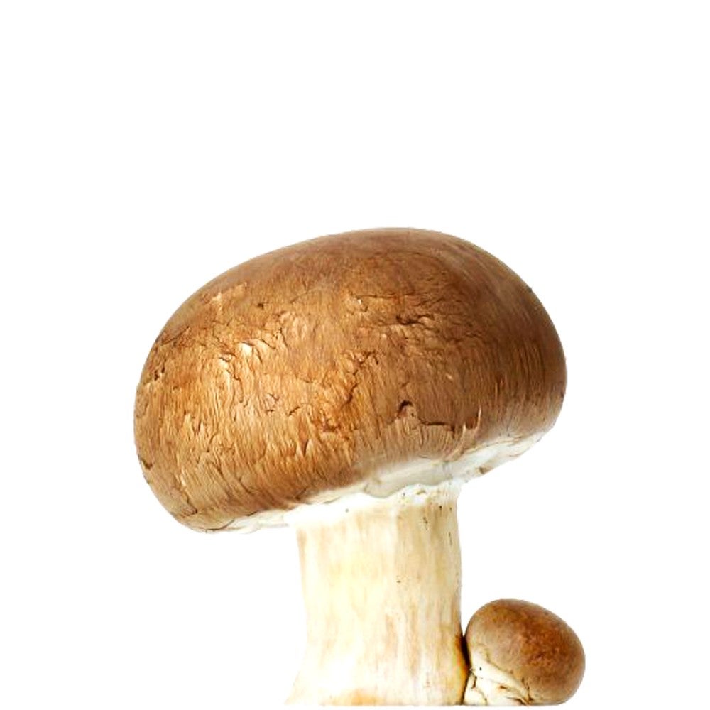 🍄 Champignons cuisinés