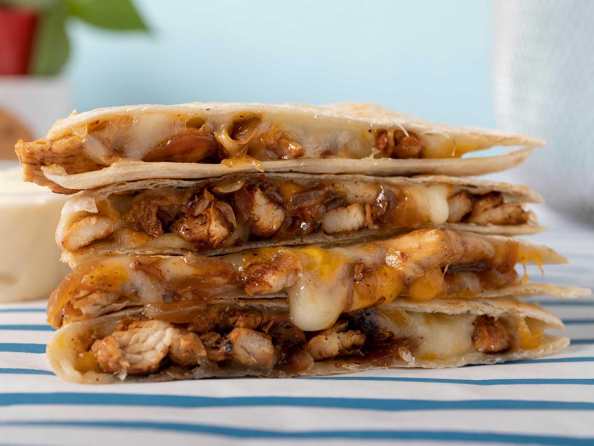 Chicken Quesadilla