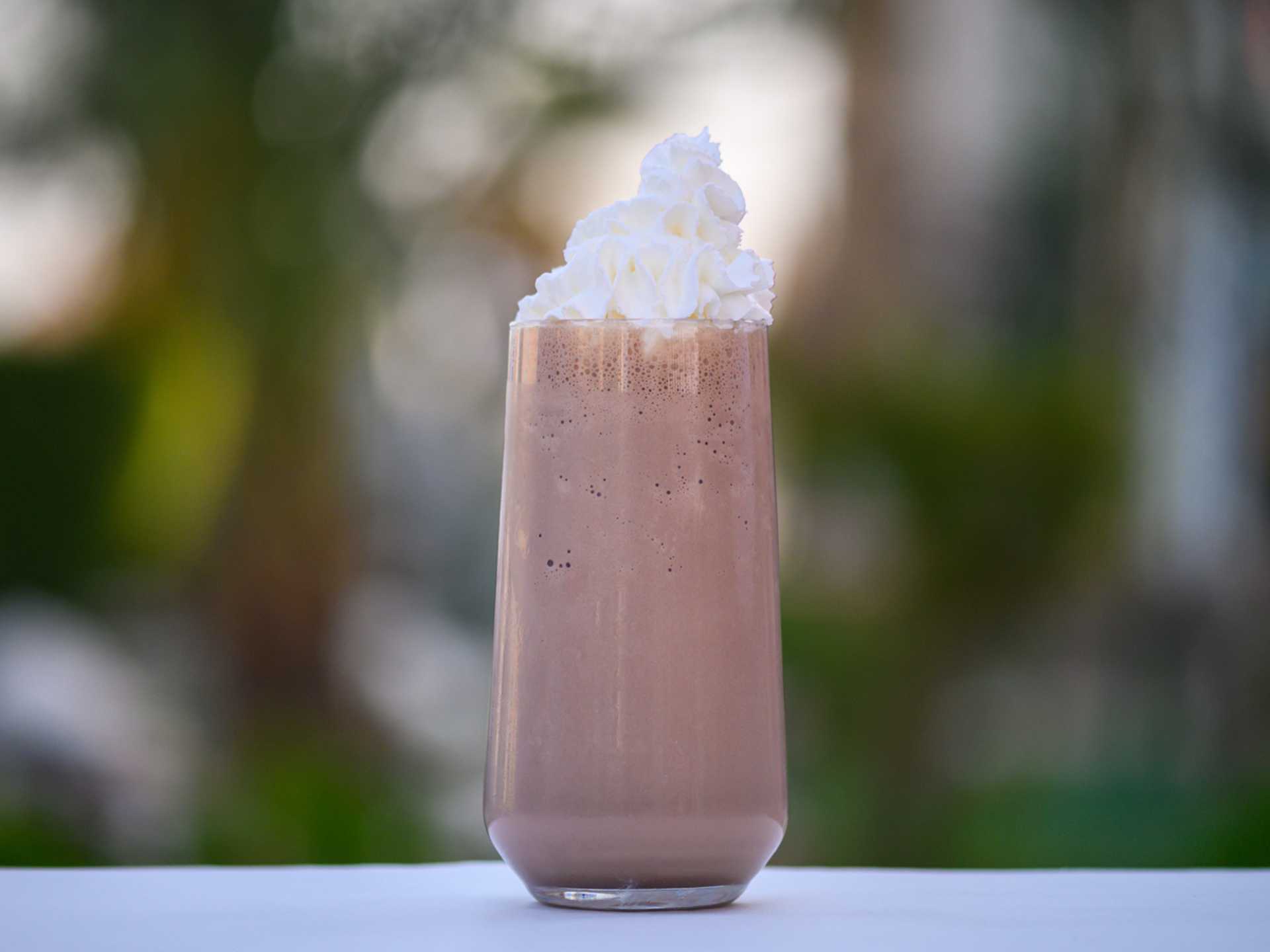 Twins Chocolate Milkshake