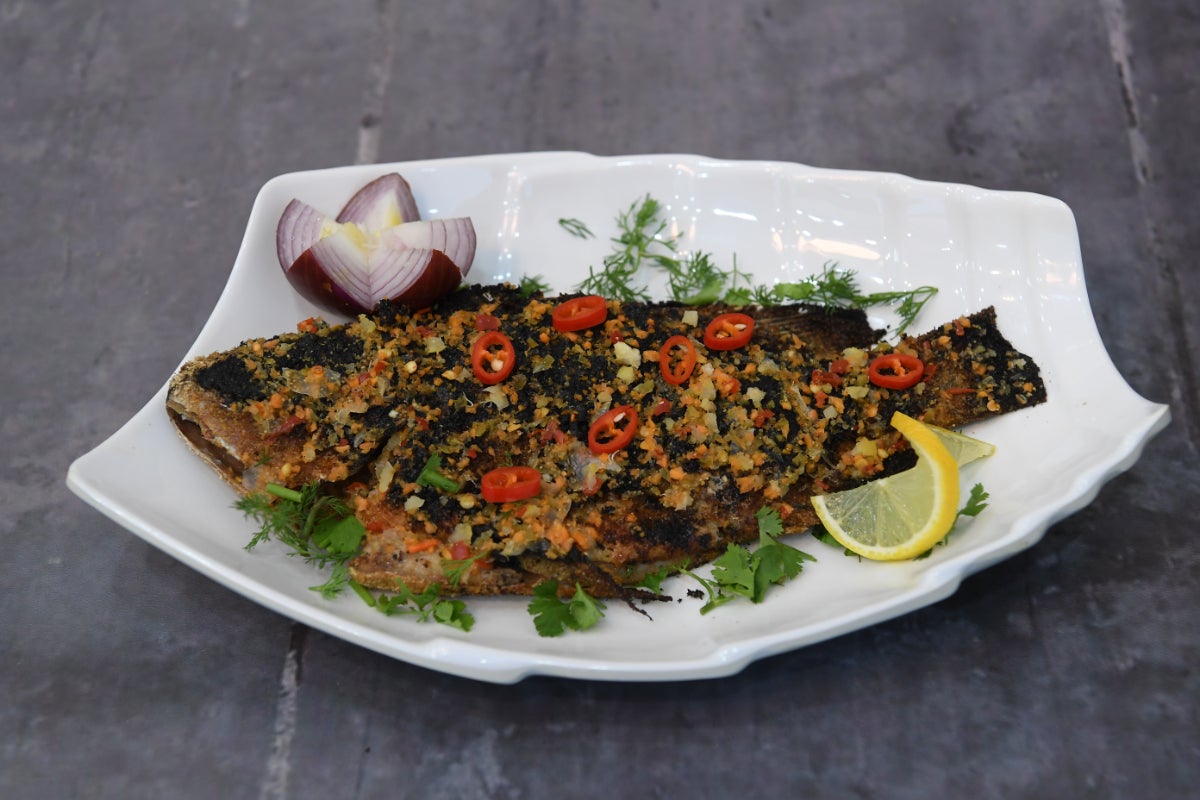 Tilapia meal