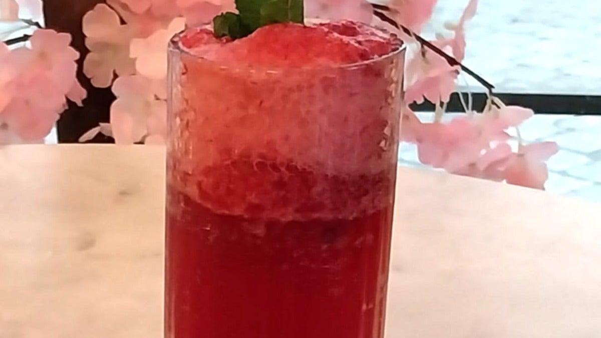 Thé glacé, myrtilles, pommes, ananas, menthe 30cl