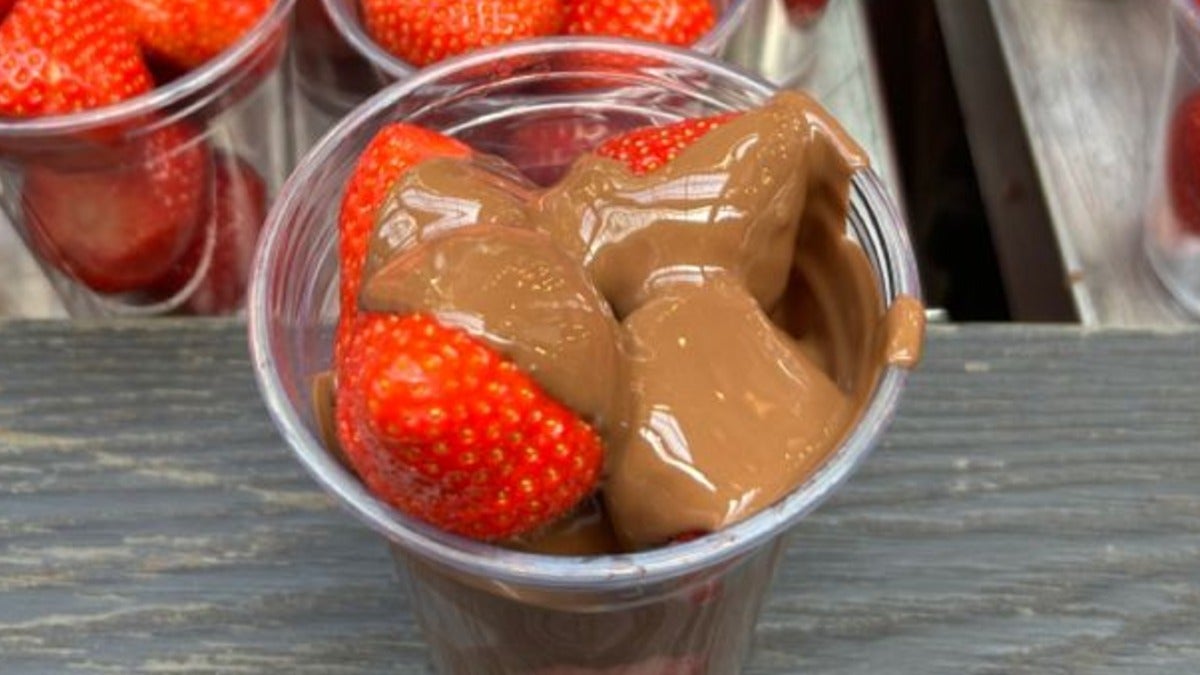 Strawberry Chocolate Cup