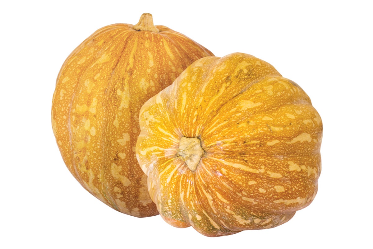 Iranian Red Pumpkin - Large, Round