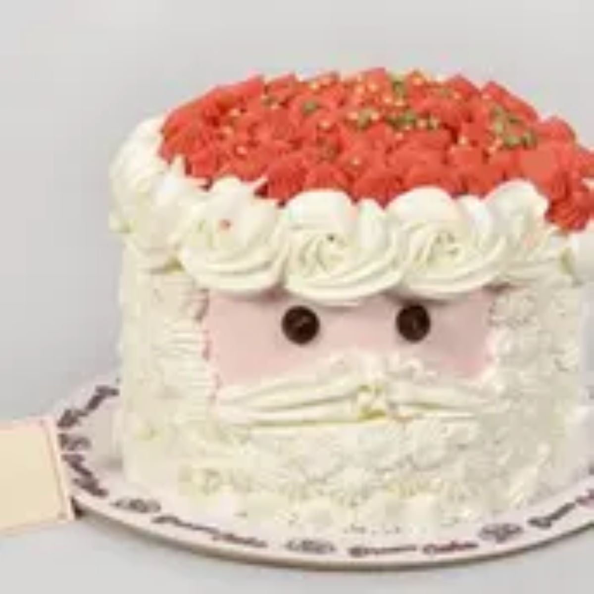 Santa Cake