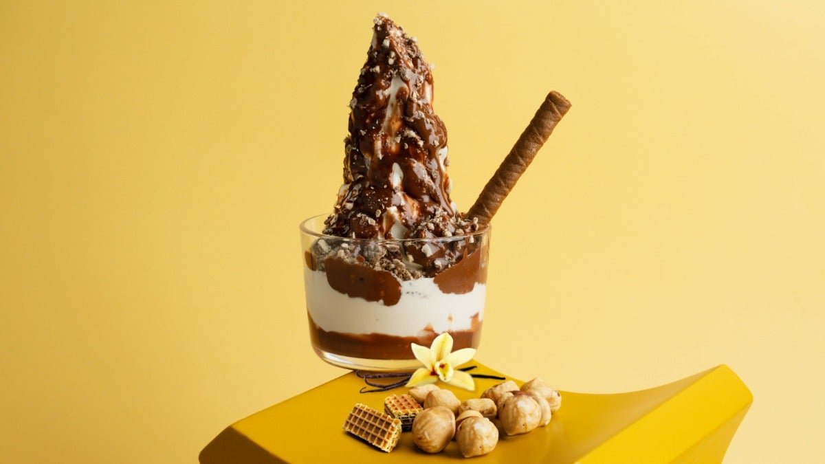 Hazelnut Vanilla Ice Cream