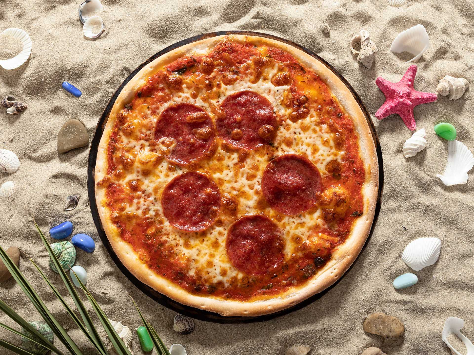 Berkley's Salami Pizza
