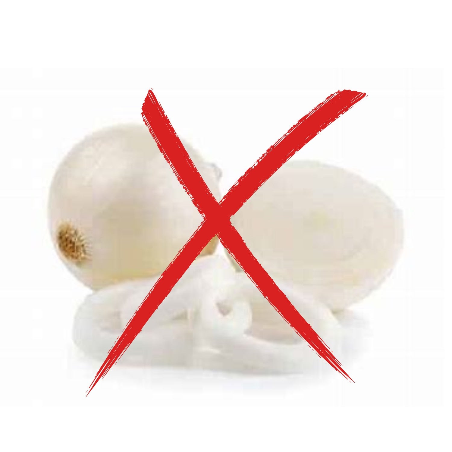 Sans Oignon