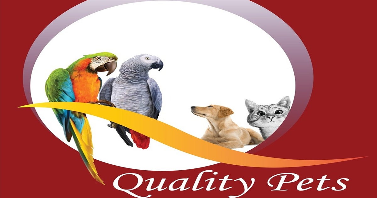 Quality Pets Shop Khalidiya Mall delivery from Al Manhal Order with