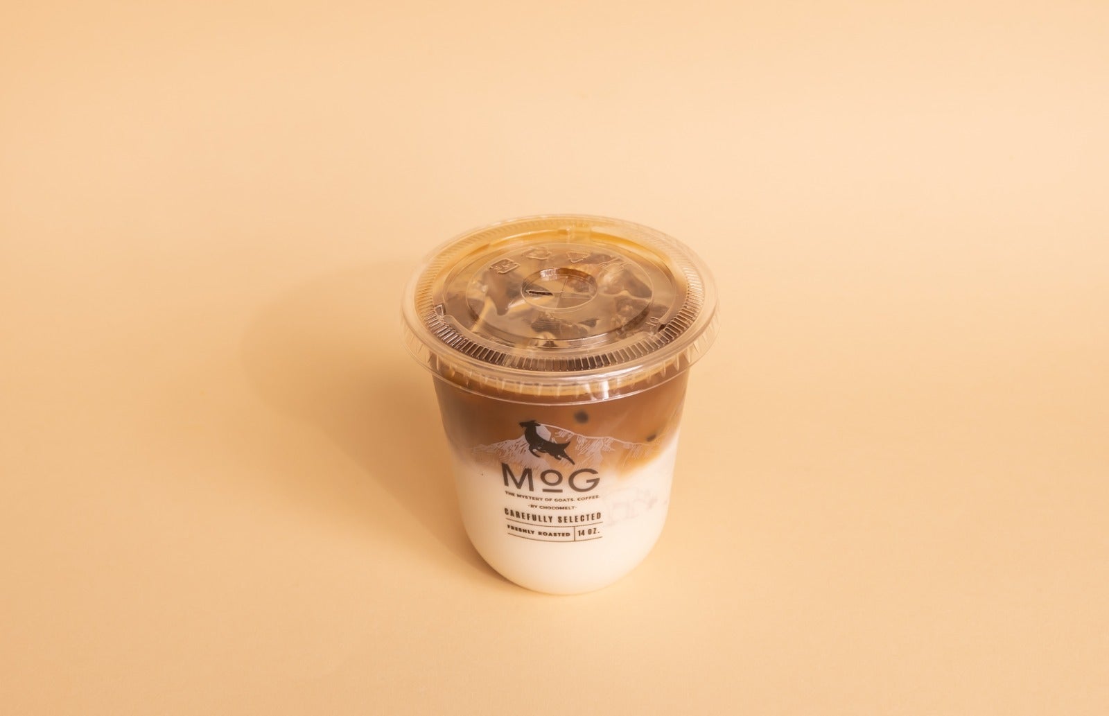 Iced Spanish Latte