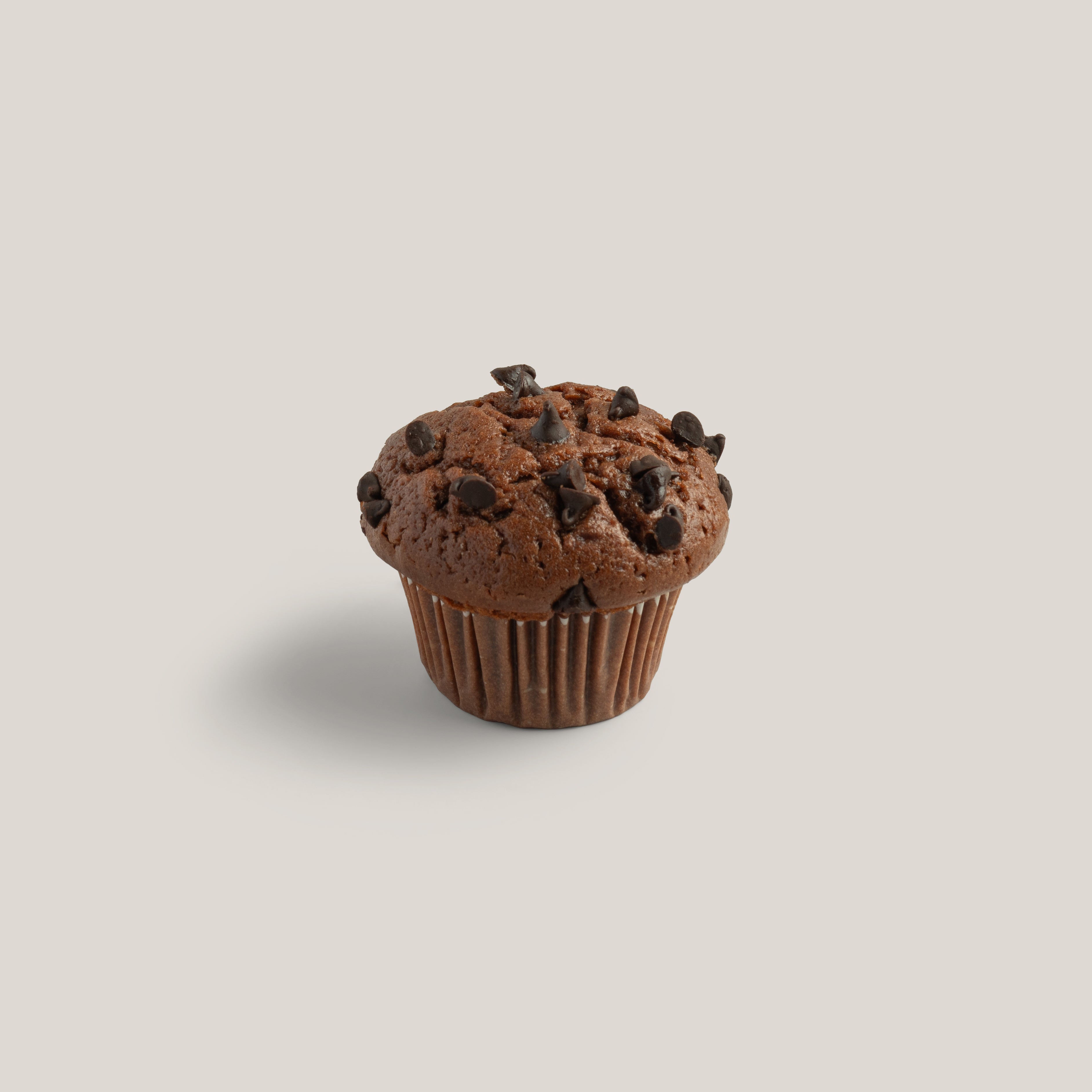 Chocolate Muffin